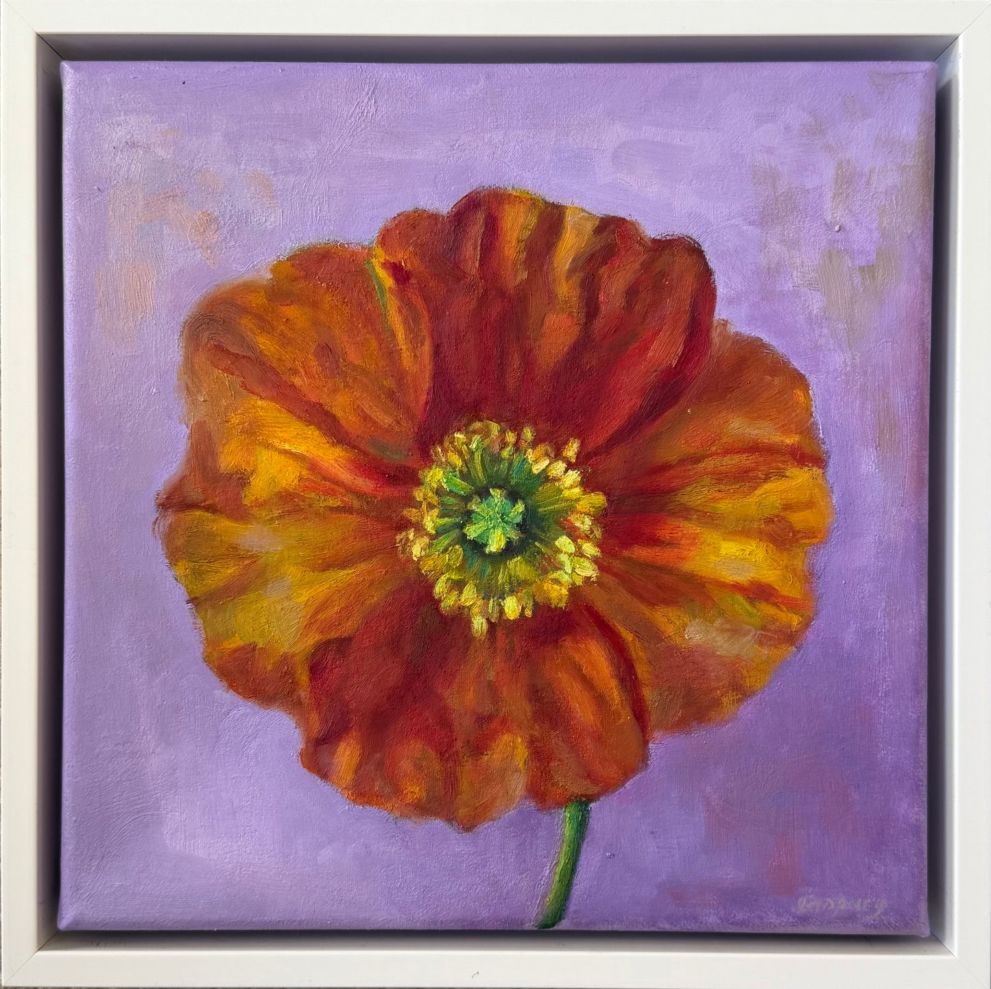 Orange Poppy, 29 x 29cm