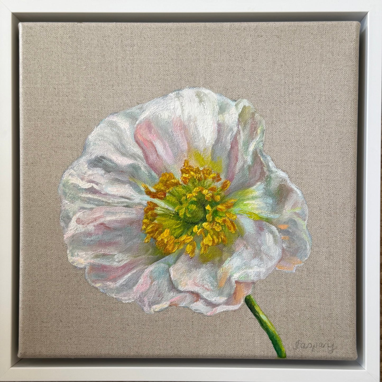 White Poppy, 29 x 29cm
