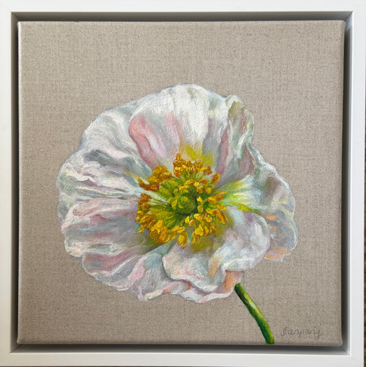 White Poppy, 29 x 29cm