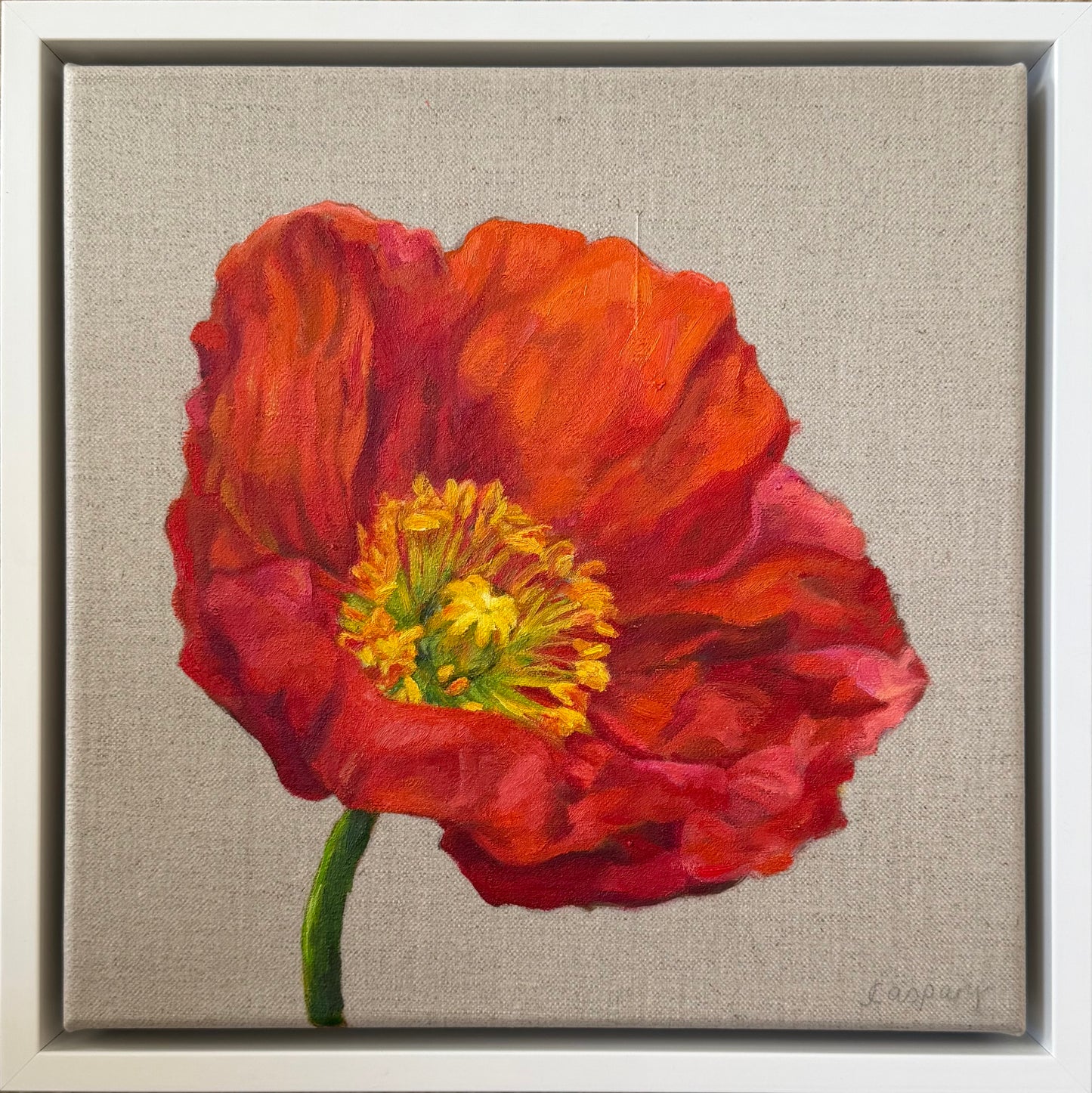 Scarlet Poppy, 29 x 29cm