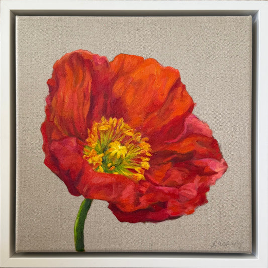 Scarlet Poppy, 29 x 29cm