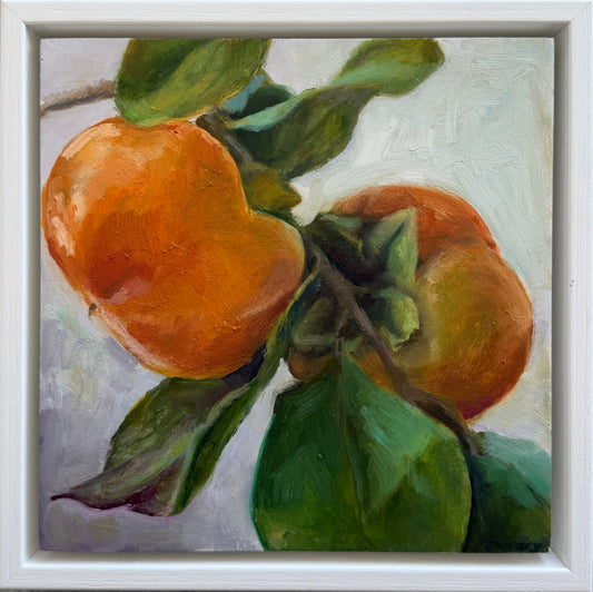 Persimmon, 23 x 23cm