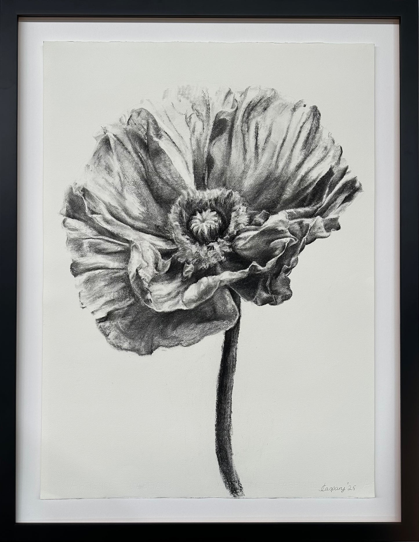 Poppy I, 90.5 x 70cm