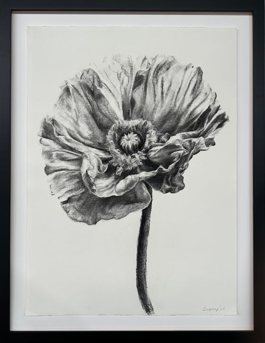 Poppy I, 90.5 x 70cm