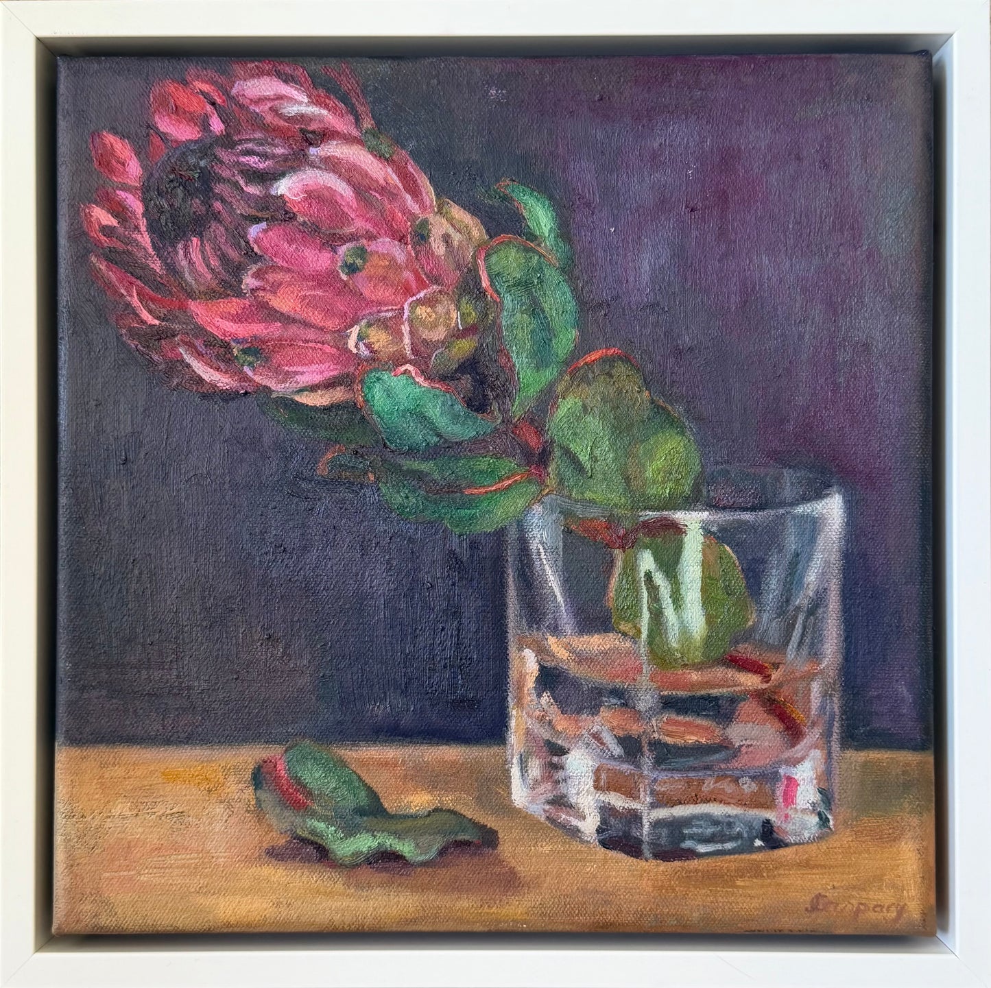Protea in a Whiskey Glass, 29 x 29cm