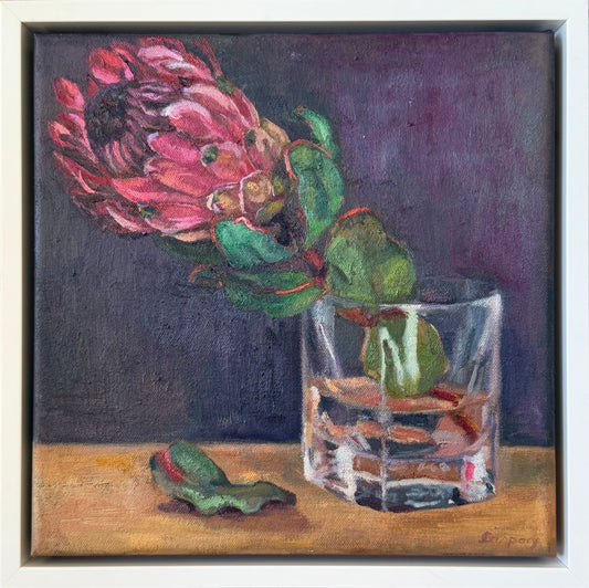 Protea in a Whiskey Glass, 29 x 29cm