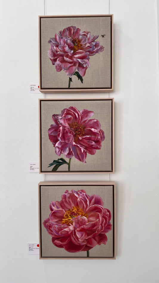 Honey Bee, 39 x 39cm