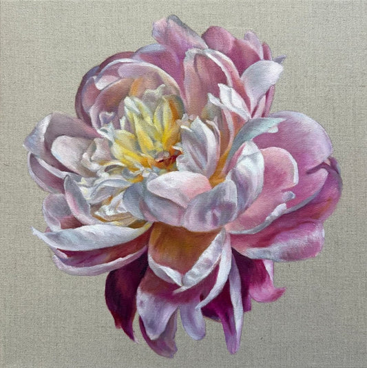 Peony in Full Bloom
