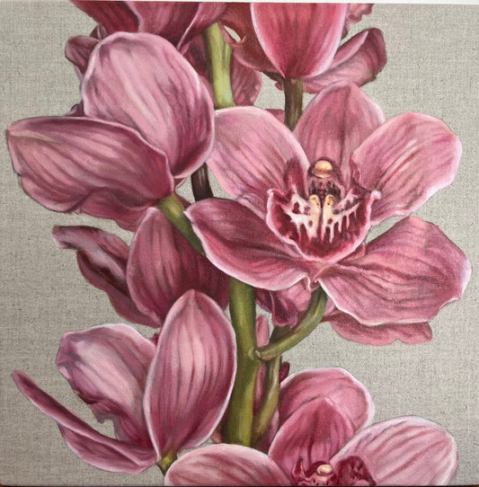 Pink Cymbidium 38 x 38cm