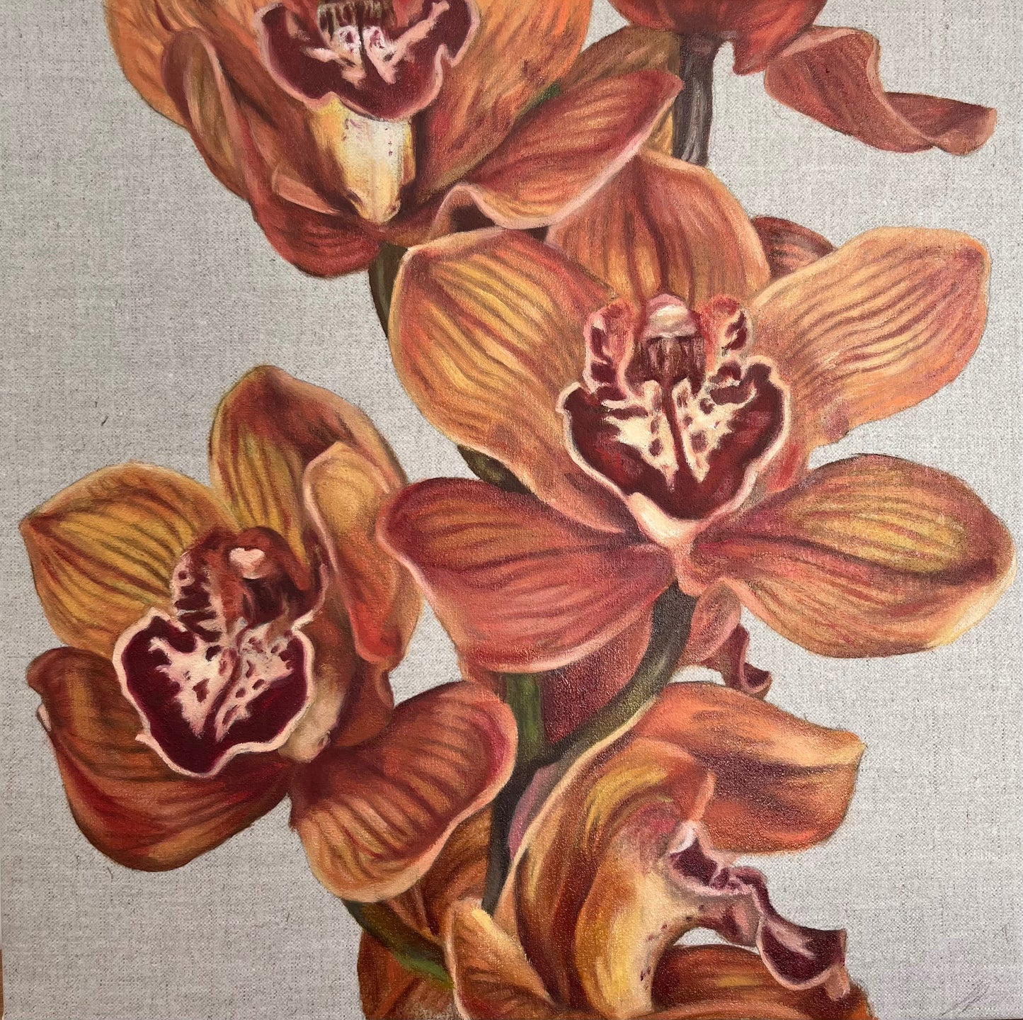 Orange Cymbidium 38 x 38cm