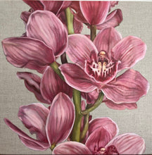 Load image into Gallery viewer, Pink Cymbidium 38 x 38cm

