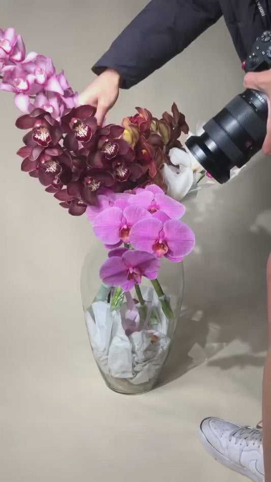 Orchid Dreams 112 x 168cm